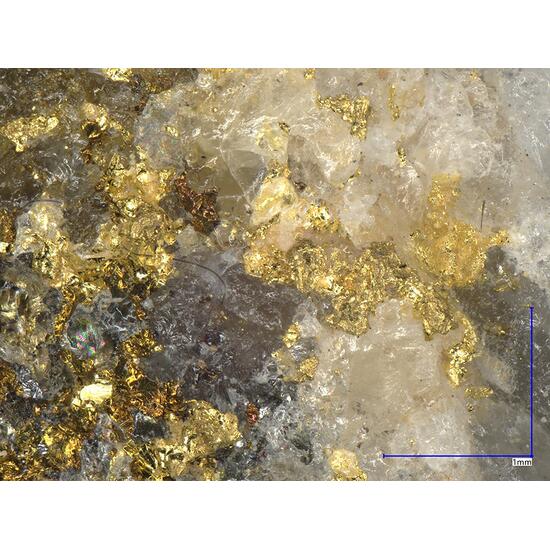 Gold & Chalcopyrite