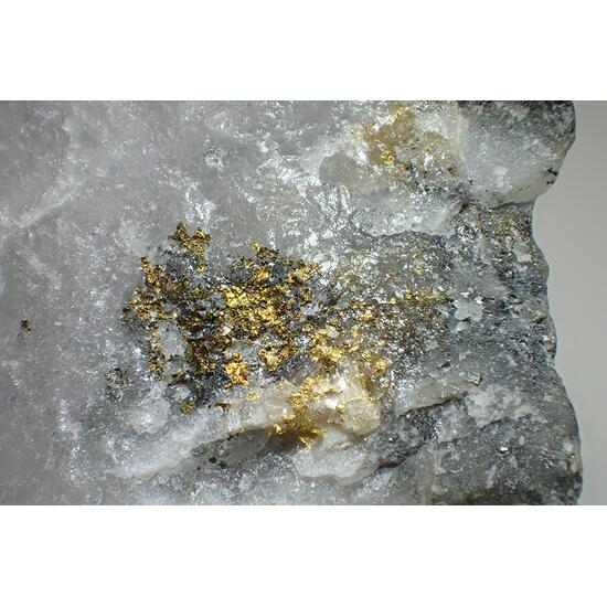 Gold & Chalcopyrite