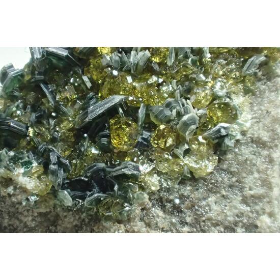 Vesuvianite & Clinochlore