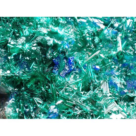 Brochantite & Linarite