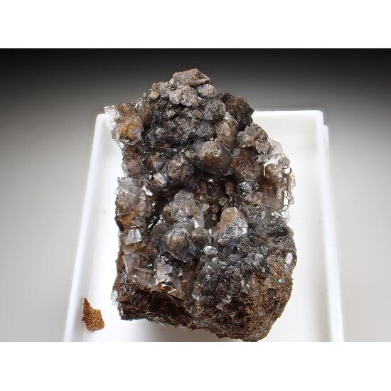 Scrutinyite