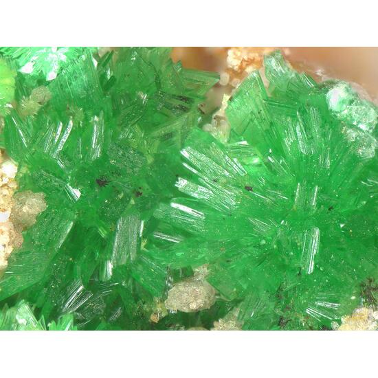 Annabergite