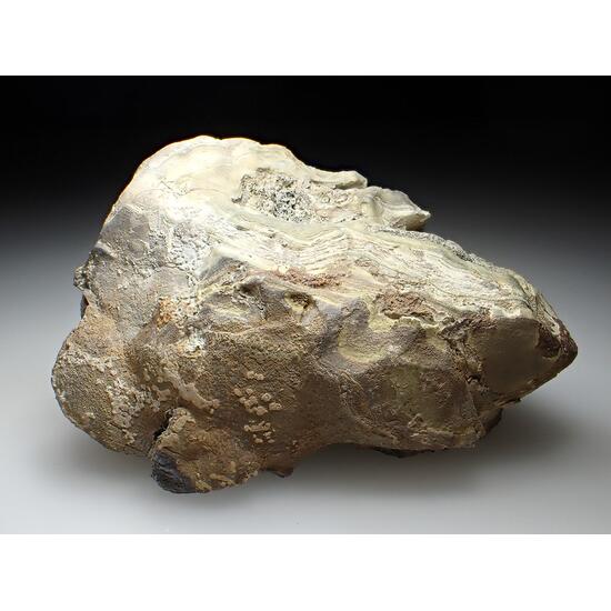 Schalenblende