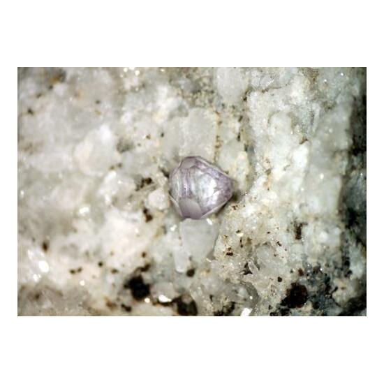 Fluorite & Anatase