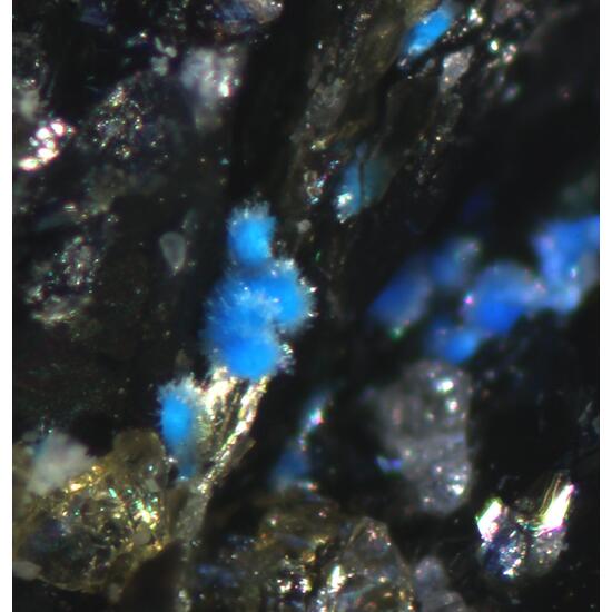 Carbonatecyanotrichite