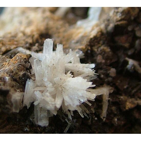Aragonite With Quartz