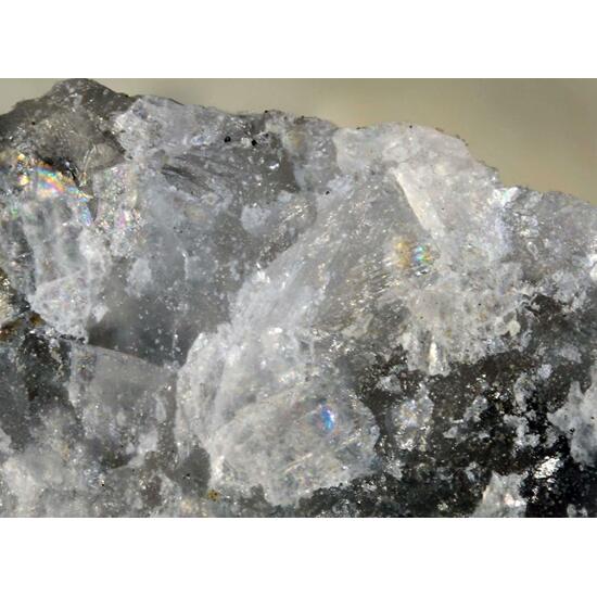 Vimsite