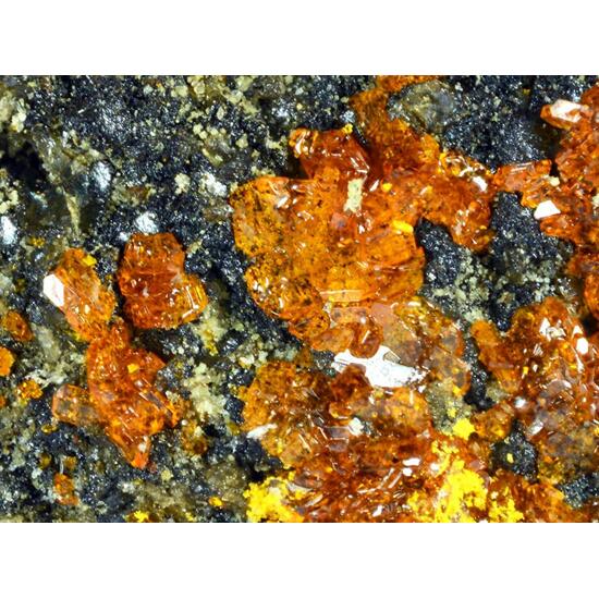 Schindlerite