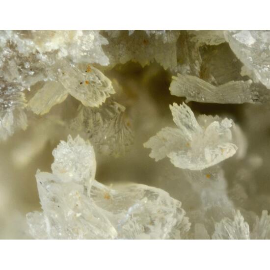 Jarlite & Fluorite