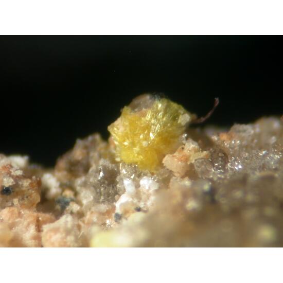 Lautarite