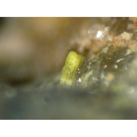 Lautarite