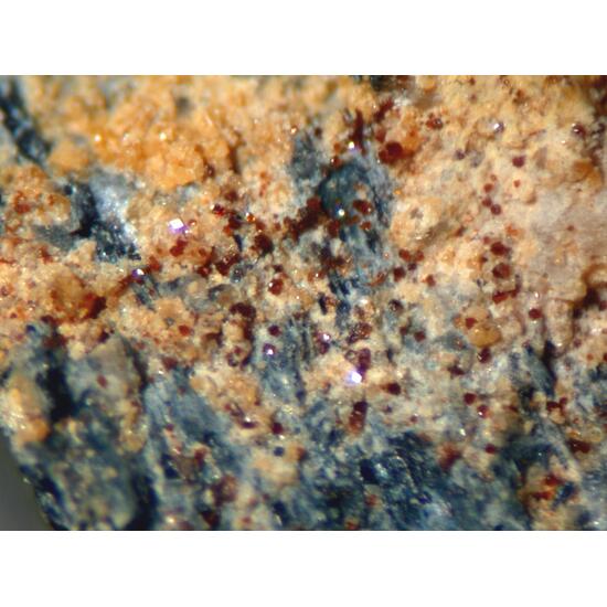 Aspedamite