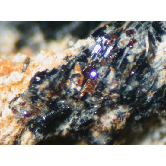 Aspedamite
