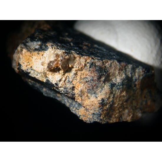 Aspedamite