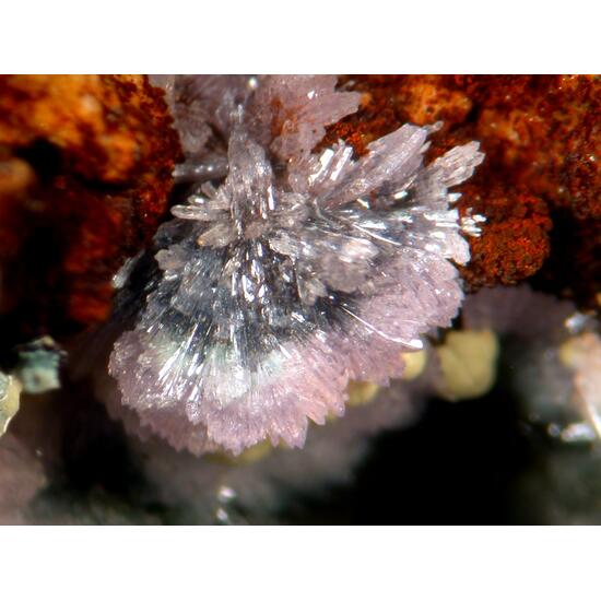 Strengite & Kidwellite