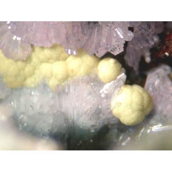 Strengite & Kidwellite