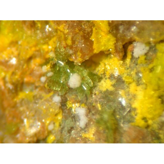 Jáchymovite Uranopilite & Johannite