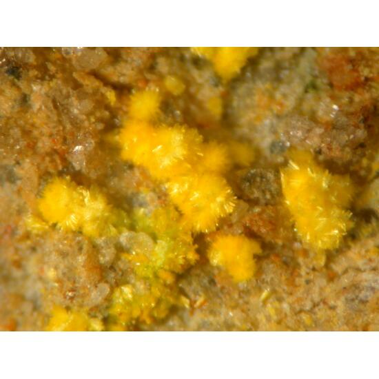 Jáchymovite Uranopilite & Johannite