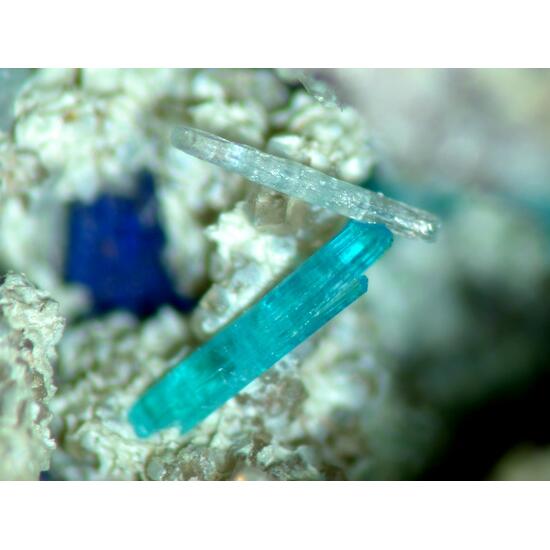 Caledonite Susannite & Linarite
