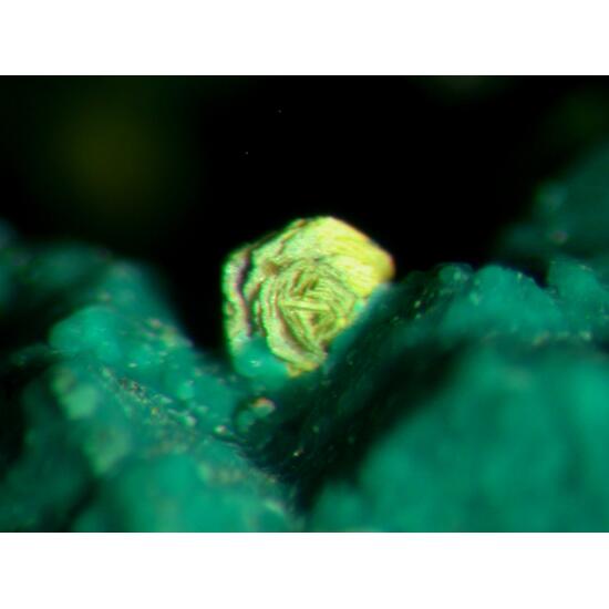 Malachite Psm Cuprite Azurite & Volborthite