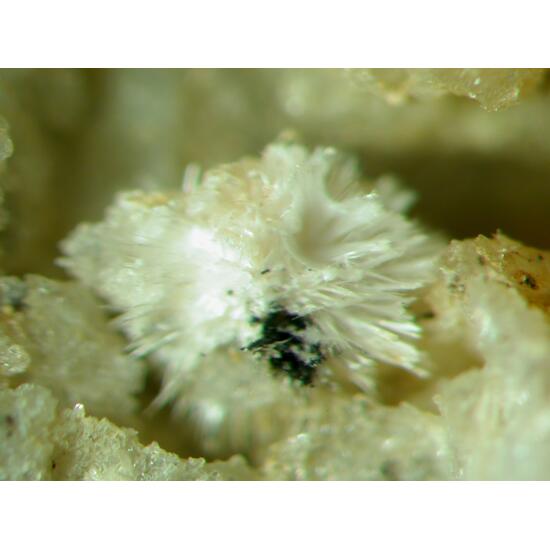 Kayrobertsonite