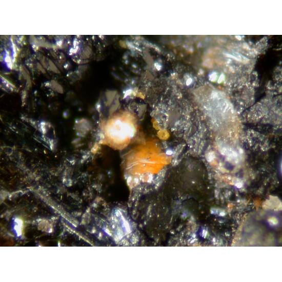 Hauckite