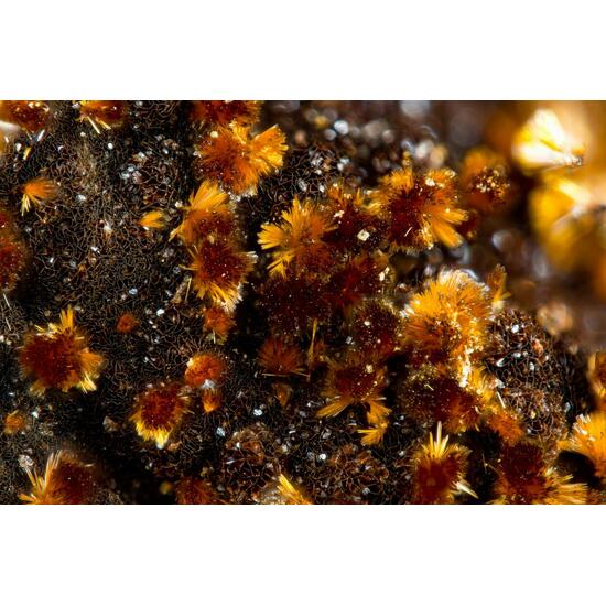 Donowensite