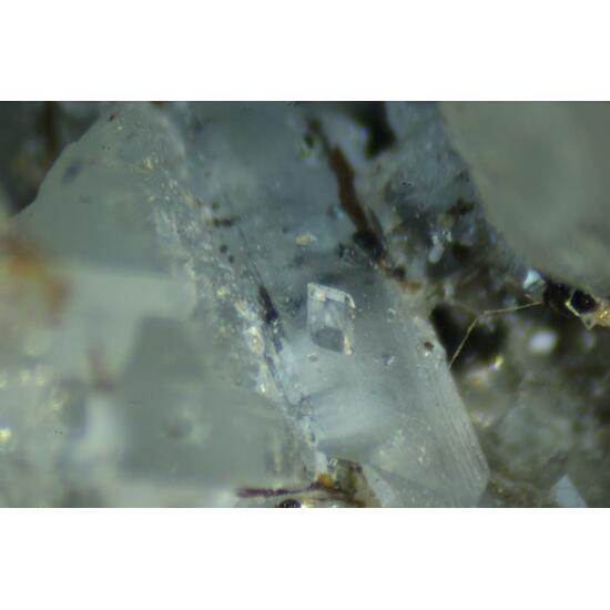 Apophyllite & Pectolite