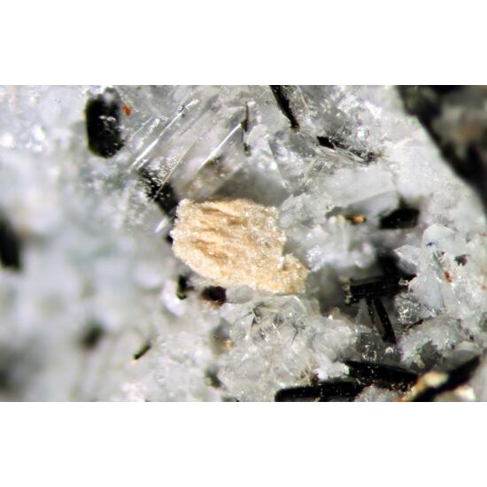 Bastnäsite & Unnamed (Fe-analogue of Zakharovite)