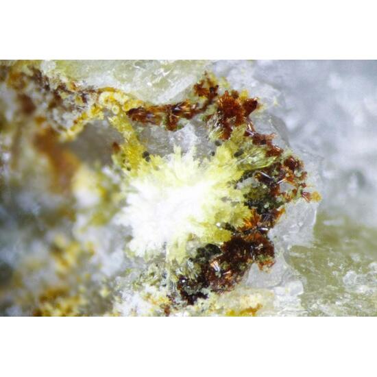 Beraunite Stewartite & Cacoxenite
