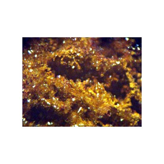 Segnitite