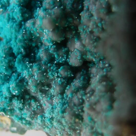 Rosasite Aurichalcite Cerussite & Smithsonite