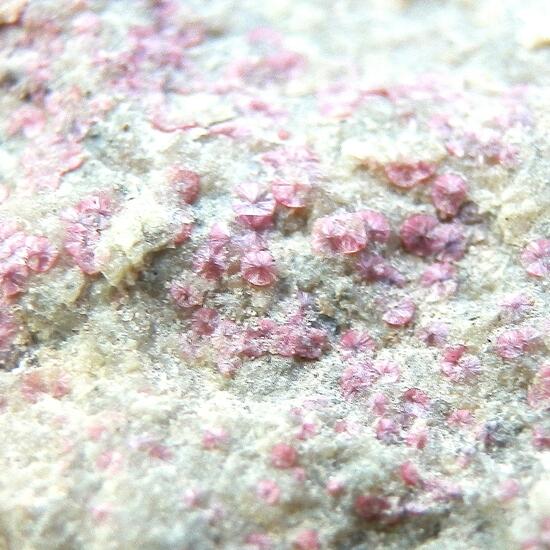 Annabergite