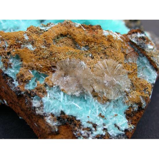 Aurichalcite & Hemimorphite