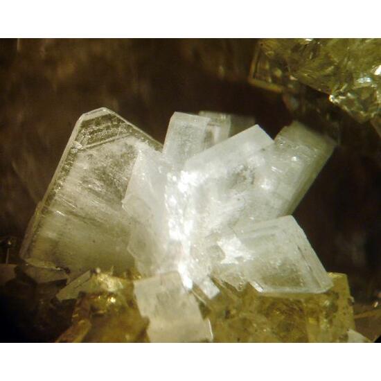 Baryte With Fluorite