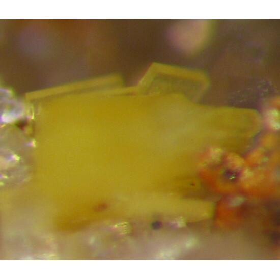Orthowalpurgite