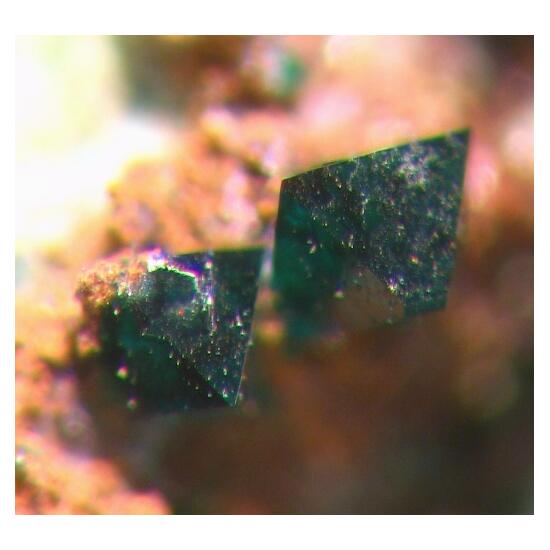 Paratacamite