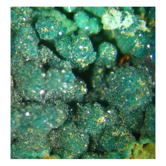 Reichenbachite
