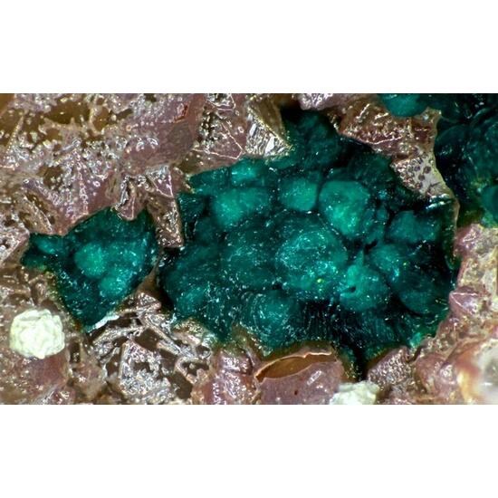 Eurekadumpite