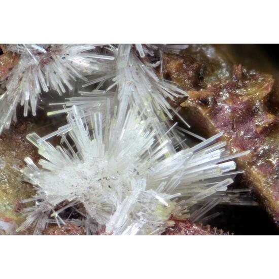 Klebelsbergite