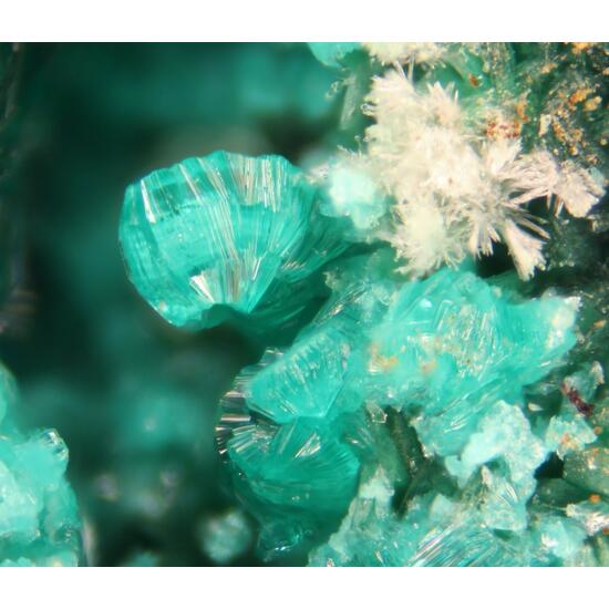 Tangdanite