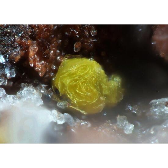 Phyllotungstite