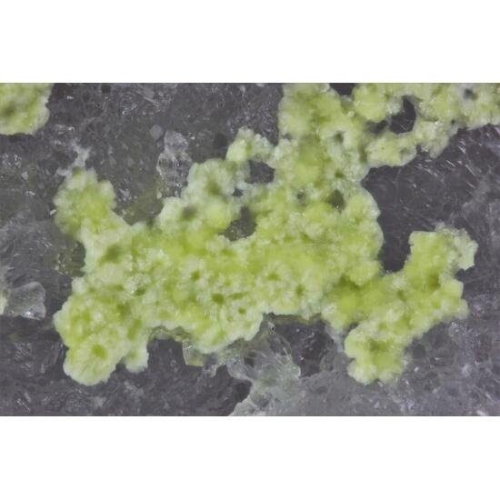 Calcioursilite