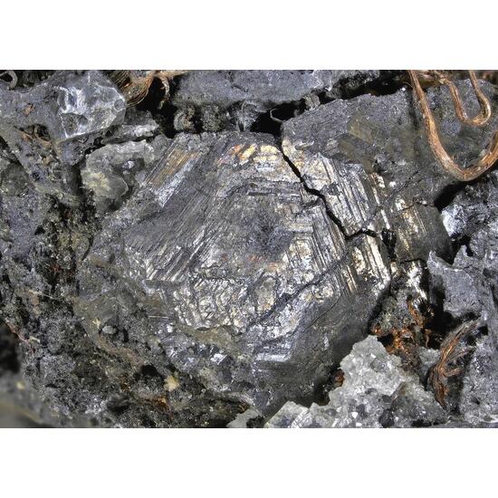 Native Silver Polybasite & Acanthite