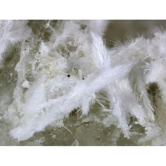 Kasatkinite