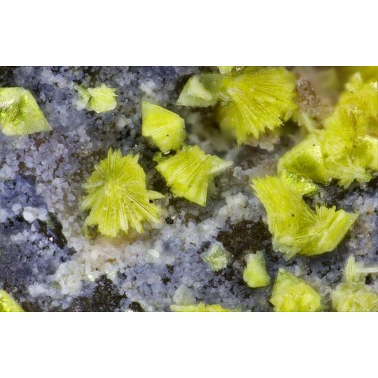 Triangulite & Ranunculite