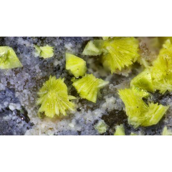 Triangulite & Ranunculite