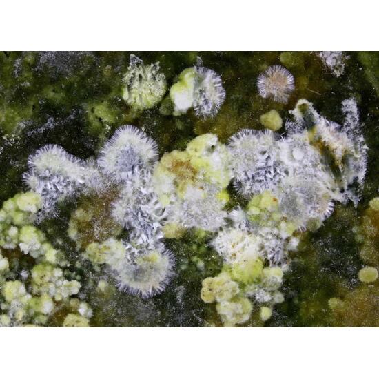 Pendevilleite-(Y) Shabaite-(Nd) & Kamotoite-(Y)