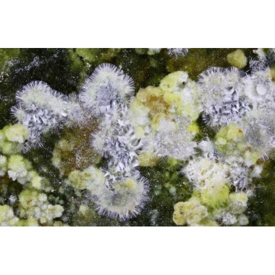 Pendevilleite-(Y) Shabaite-(Nd) & Kamotoite-(Y)