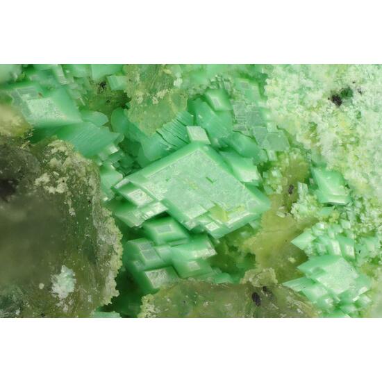 Hellyerite